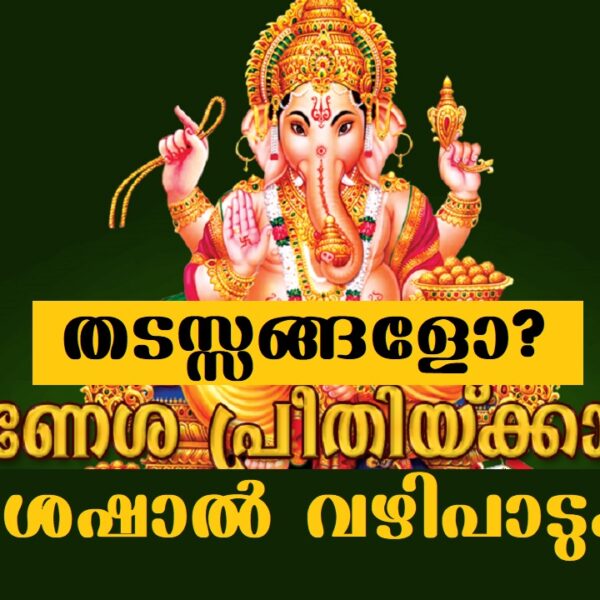 ഗണപതി പ്രീതി ലഭിക്കാൻ അനുയോജ്യ വഴിപാടുകൾ..