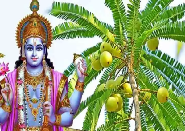 മാർച്ച് 03 നു ആമലകീ ഏകാദശി. ഈ മന്ത്രങ്ങൾ ജപിച്ചാൽ വിഷ്ണുപ്രീതിയും ഐശ്വര്യവും…