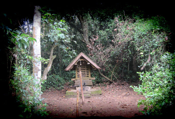 കുടുംബ പരദേവത ആരെന്നറിയില്ലെങ്കിൽ എന്തു ചെയ്യണം?