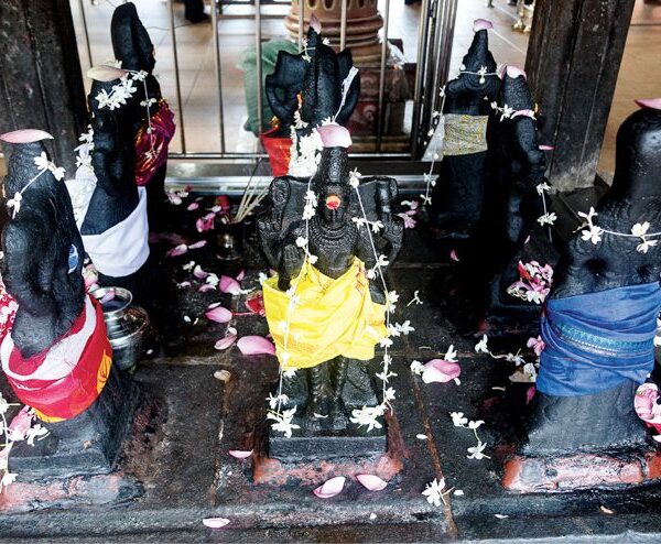 രാഹു ഈ സ്ഥാനങ്ങളിൽ നിന്നാൽ ..!