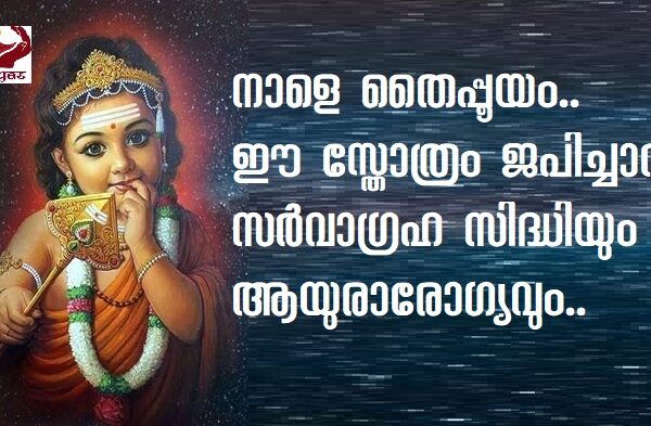 നാളെ തൈപ്പൂയം.. ഈ സ്തോത്രം ജപിച്ചാൽ സർവാഗ്രഹ സിദ്ധിയും ആയുരാരോഗ്യവും..
