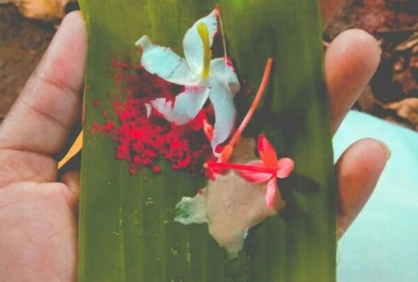 ദൃഷ്ടി-ശത്രു ദോഷങ്ങൾ അകലാൻ ഈ പുഷ്പാഞ്ജലി ഉത്തമം.