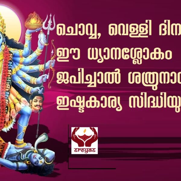 ചൊവ്വ, വെള്ളി ദിനങ്ങളിൽ ഈ ധ്യാന ശ്ലോകം ജപിച്ചാൽ അഭിവൃദ്ധിയും ആഗ്രഹ സാധ്യവും.
