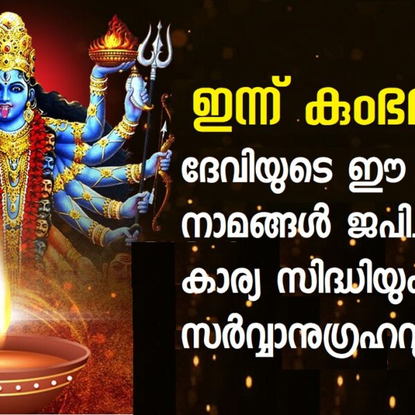 ഭദ്രകാളീ ശത നാമ സ്തോത്രം