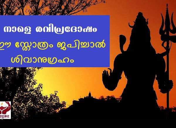 നാളെ രവി പ്രദോഷം.. ഈ സ്തോത്രം ജപിച്ചാൽ നിശ്ചയമായ ശിവാനുഗ്രഹം!