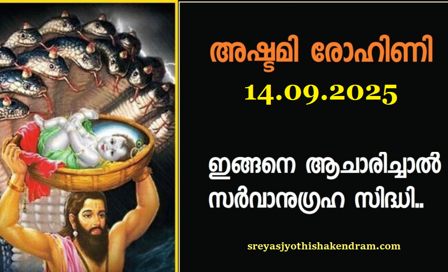 അഷ്ടമി രോഹിണി മറ്റന്നാൾ! ഇങ്ങനെ ആചരിച്ചാൽ സർവാനുഗ്രഹ സിദ്ധി..